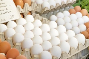 Eier der optimale Eiweisslieferant ?